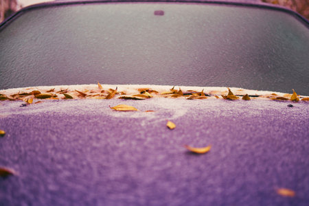 Windshield and hood of a car frozen after the first autumn frost with tree leavesの写真素材