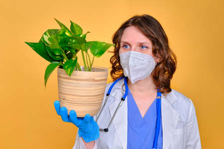 Woman doctor holding a plant in a flowerpot in her hands, yellow studio backgroundの写真素材
