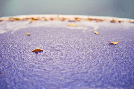 Windshield and hood of a car frozen after the first autumn frost with tree leavesの写真素材