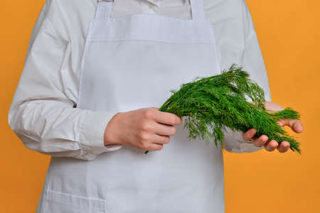 Chef with herb of spicy spices in his hands on a studio background, copy spaceの写真素材