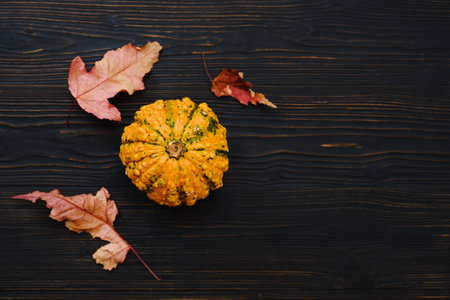 Decorative yellow pumpkin on a wooden black background made of planks, copy spaceの写真素材