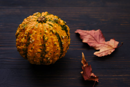 Decorative yellow pumpkin on a wooden black background of boards, close-upの写真素材