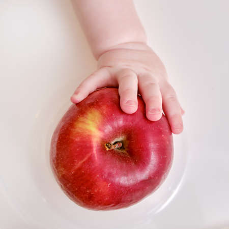Baby hand and red apple fruit, close-up. Children fingers and an object on a white backgroundの写真素材