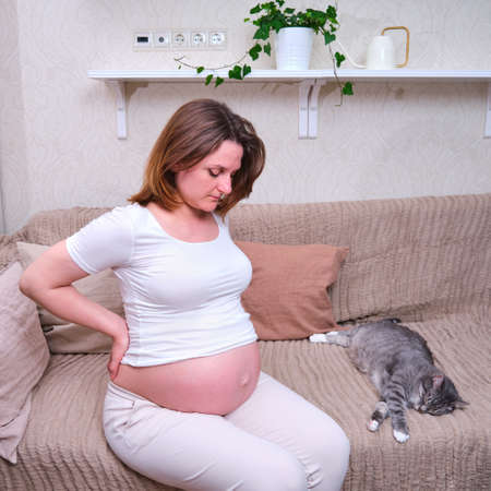 Exercise for relieving back pain, training. Lower back pain during pregnancy in a woman on a home bed. Problems and diseases in pregnant womenの写真素材