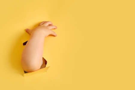 The child's hand sticks out of a hole in the studio yellow background. Baby boy hand is thrust through a torn paper background, copy spaceの写真素材