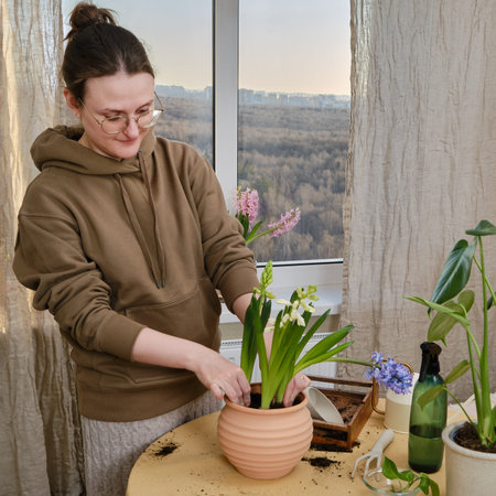 Woman working in home garden, soil for hyacinth flower. Transplanting plants into pots and replacing ground in the living room, diy hobbyの写真素材