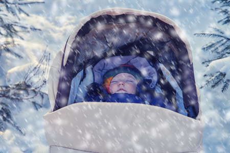 Infant baby boy sleeping in a pram, winter park near snow-covered trees. Toddler child in a stroller among snowy Christmas trees in the forestの写真素材