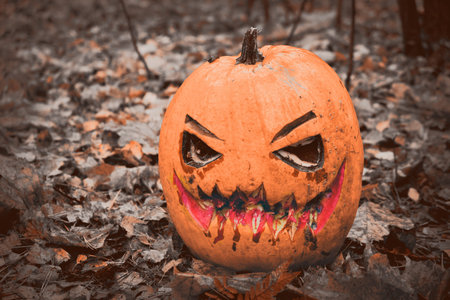 Pumpkin decorated on Halloween in the autumn forest, no peopleの写真素材