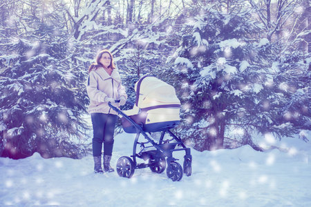 Woman mother with a stroller for a child in a winter park near snow-covered Christmas trees. Mom...