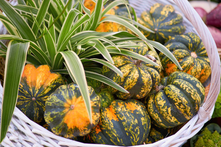 Harvest festival with autumn pumpkins and vegetables. Sale of agricultural crops on the outdoor...