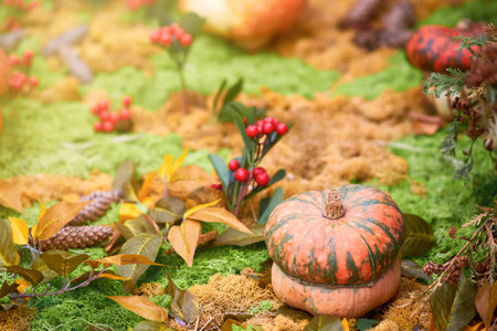 Harvest festival with autumn pumpkins and vegetables. Sale of agricultural crops on the outdoor market after the holidayの写真素材
