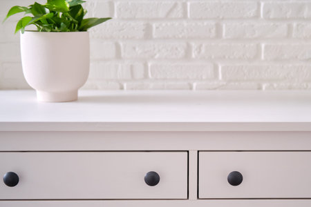 Home plant on white chest of drawers against stone brick wall, copy space