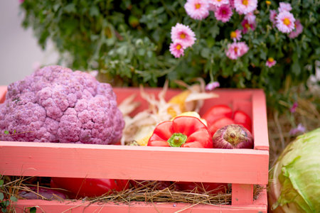 Harvest festival with autumn pumpkins and vegetables. Sale of agricultural crops on the outdoor market after the holidayの写真素材
