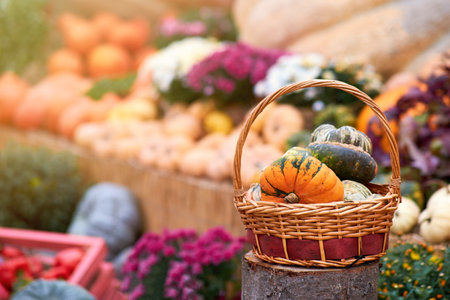 Harvest festival with autumn pumpkins and vegetables. Sale of agricultural crops on the outdoor market after the holidayの写真素材