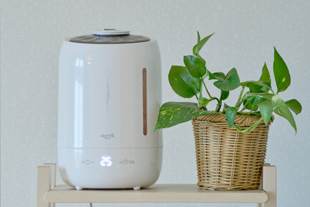 Humidifier Deerma in the home living room next to the houseplant - Moscow, Russia, October 29, 2022のeditorial素材