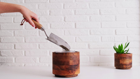 A woman gardener pours soil for planting a houseplant in a pot, home interior. Female hand is pouring earth into a flower pot using a shovel to prepare the soil, white brick wall backgroundの写真素材