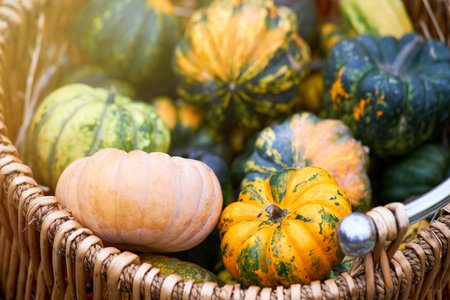 Harvest festival with autumn pumpkins and vegetables. Sale of agricultural crops on the outdoor...