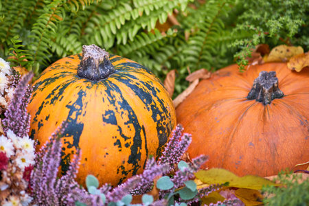 Harvest festival with autumn pumpkins and vegetables. Sale of agricultural crops on the outdoor market after the holidayの写真素材
