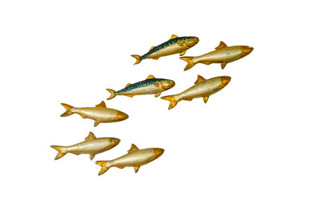 A flock of models of fish on the wall of the restaurant, isolated on a white backgroundの写真素材