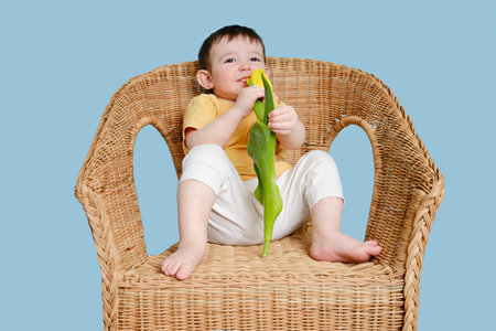 Happy toddler baby with tulip flower on studio blue background. Smiling child boy with yellow tulip. Kid age one year eight monthsの写真素材