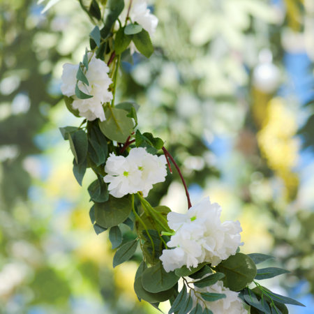 A captivating archway made up of lovely flowers, swaying petals, and leafy plants set against a clear blue sky.の写真素材