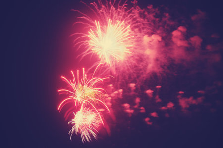 Bright colorful fireworks on the background of the black night skyの写真素材