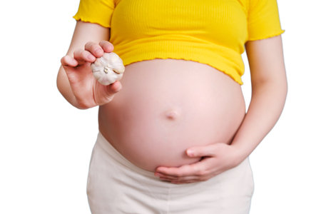 A garlic bulb in the hands of a pregnant woman, isolated on a white backgroundの写真素材