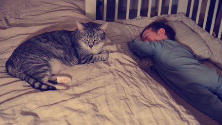 The cat guards the child's sleep. Pet sits next to sleeping baby. Kid aged about two years (one year ten months)の写真素材