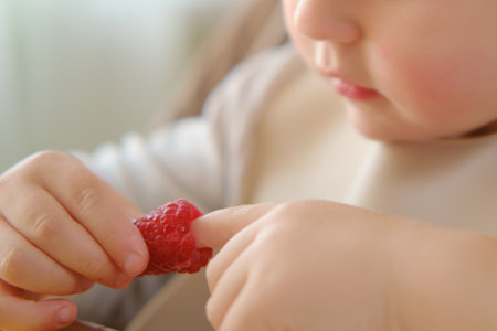 The child is sitting at home and enjoying raspberries for a snack. Kid boy aged two years (two-year-old)の写真素材
