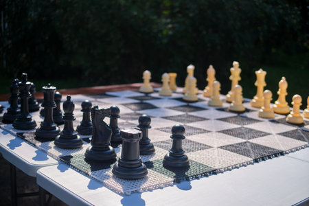 Chess on a chessboard in the park, close-upの写真素材