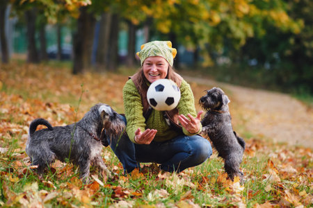 Happy woman playing with ball and miniature schnauzer puppies in autumn parkの写真素材