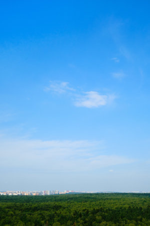 The cloudscape against the blue sky was a reminder of the beauty and wonder of nature, even on a simple summer day.の写真素材