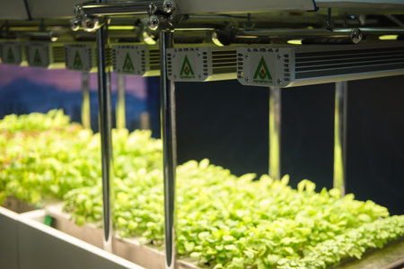 Organic hydroponic vegetable growing in hydroponics farm Agrophys - Moscow, Russia, November 05, 2023のeditorial素材