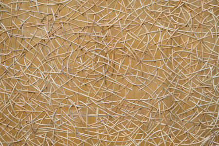Intricate wooden lattice pattern background. Textural design concept for design and print....