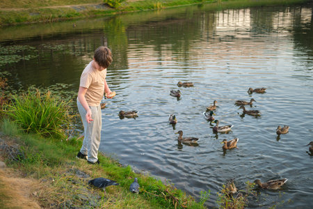 The male child is throwing bread to the pigeons, enjoying his time outdoors. A boy is feeding a group of birds at the water's edge, surrounded by nature.の写真素材