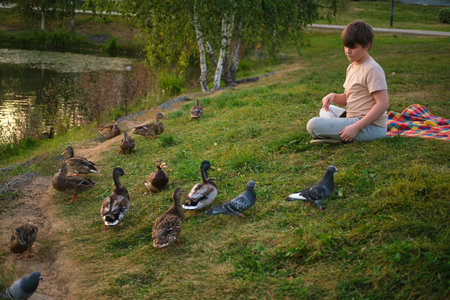 Boy sitting on the grass feeding ducks and pigeons near a pond. Outdoor nature scene. Wildlife and recreation concept.の写真素材