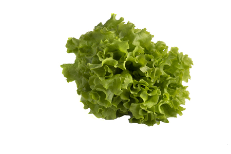 A green lettuce on white background, The concept of healthの写真素材
