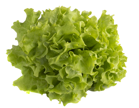 Fresh lettuce on white background, food conceptの写真素材