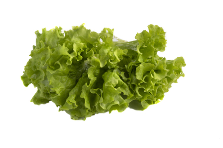 A lettuce on white background, The concept of healthの写真素材