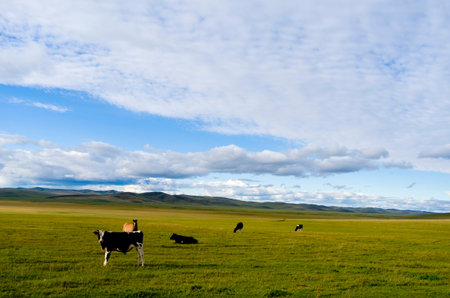 The hulunbeir grasslands