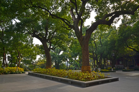 nature garden park