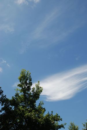 blue sky, white cloudsの写真素材
