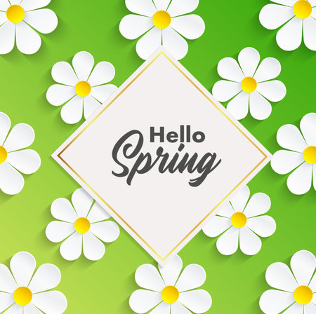 Hello Spring background with camomile flowers