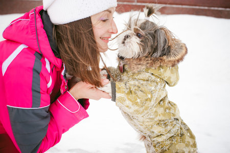 Walk in winter outdoors with dog breed Shih Tzu. A woman in bright red warm ski clothing walking in snow with your pet, little shih tzu dressed in overalls. care for animals loves playing with the dogの写真素材