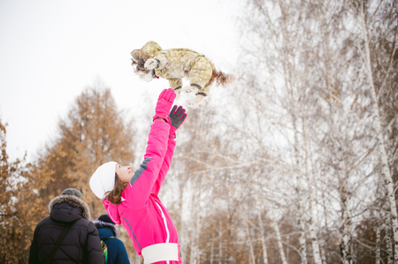 dog throws up into the sky. Walk in the winter outdoors with a dog breed Shih Tzu. A woman in a bright red warm ski clothing walking in the snow with your pet, a little shih tzu dressed in overalls. care for animals, and loves playing with the dogの写真素材