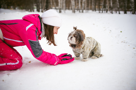 Walk in winter outdoors with dog breed Shih Tzu. A woman in bright red warm ski clothing walking in snow with your pet, little shih tzu dressed in overalls. care for animals loves playing with the dogの写真素材