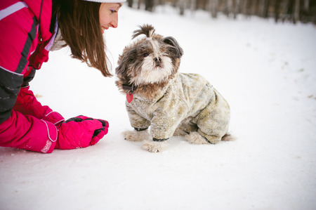 Walk in winter outdoors with dog breed Shih Tzu. A woman in bright red warm ski clothing walking in snow with your pet, little shih tzu dressed in overalls. care for animals loves playing with the dogの写真素材