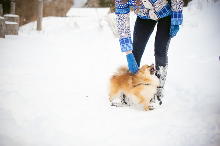 woman caressing her pet, dog breeds Spitz. walk with the dog on a leash outdoors on winter snowの写真素材