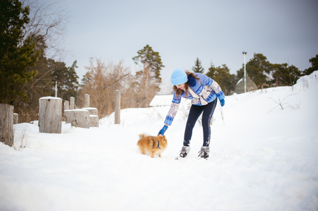 Spitz breed dog playing with a woman walking outdoors winter day. taking care of a pet, dog walkingの写真素材
