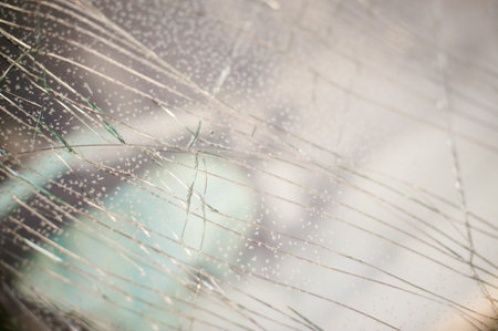 broken windshield of a car crash victim in the winter